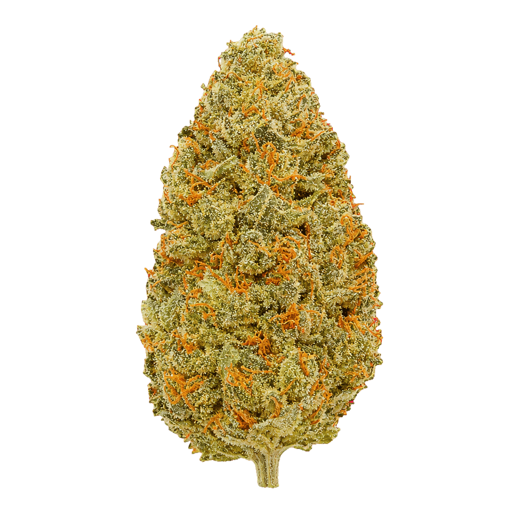 Medical Saints 21/1 USR Ultra Sour Online Kaufen