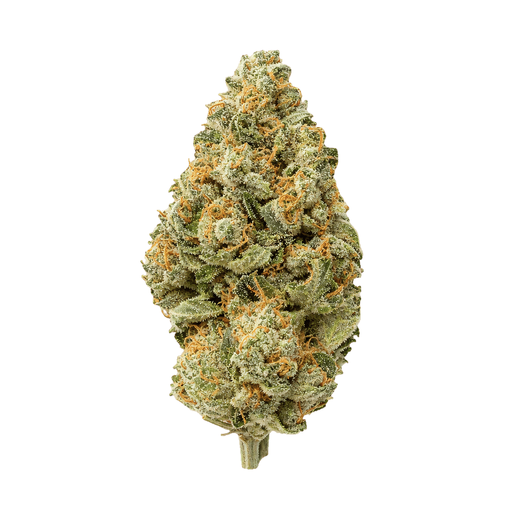 Medical Saints 27/1 LEM Lemonatti Online Kaufen