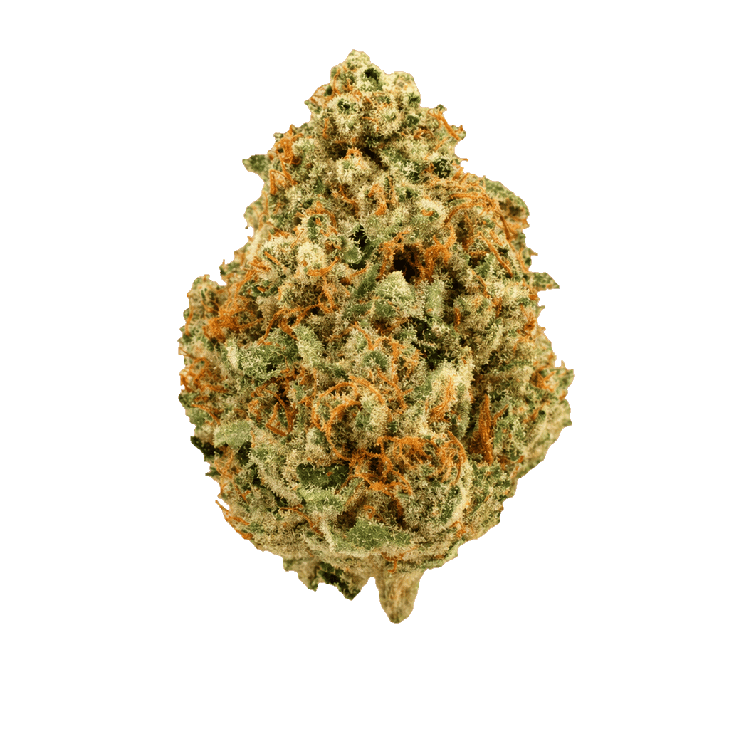 Medical Saints 18/1 PSY Psyclone Online Kaufen