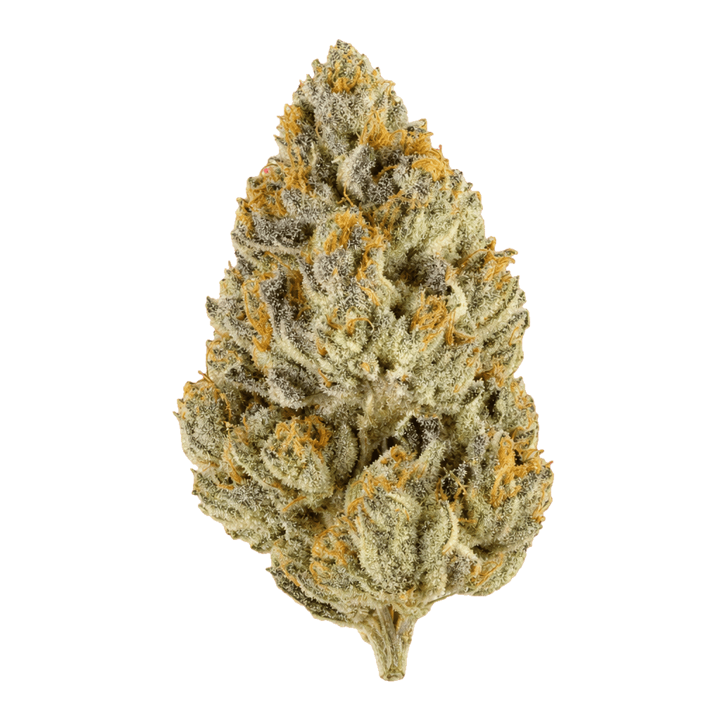 Materia FFC 25/1 Frosted Fruit Cake Online Kaufen