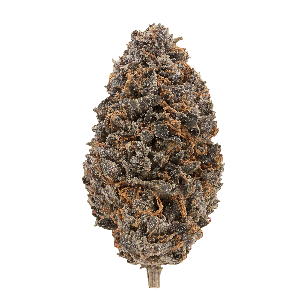 Medical Saints 27/1 HUB Huckleberry Online Kaufen
