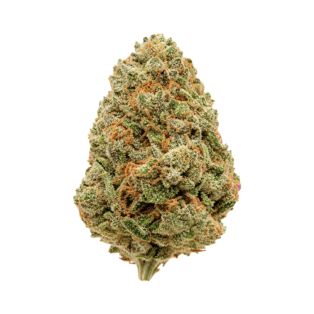 NICE 33/1 OZK Ozark Online Kaufen