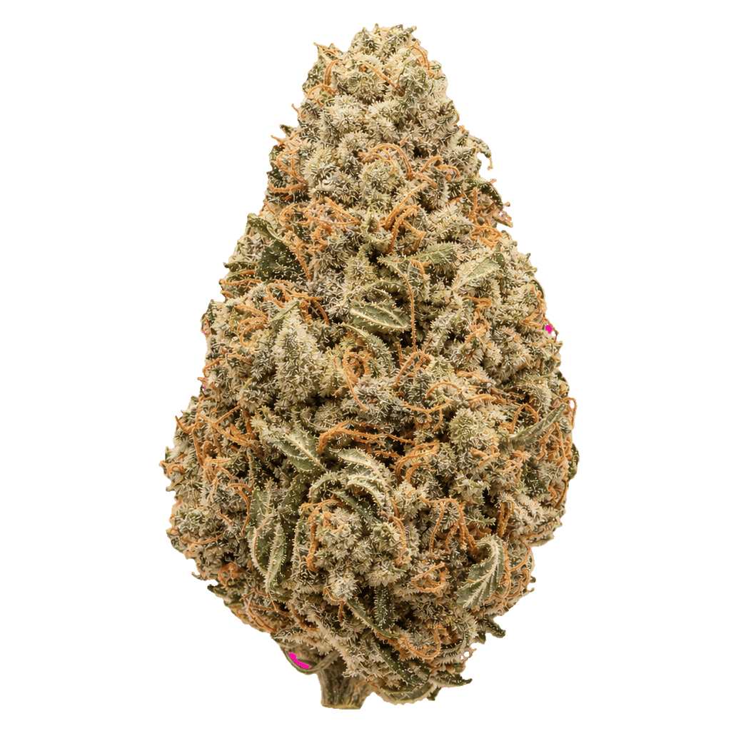 ONO Astrono 25/1 Kush Mint Online Kaufen