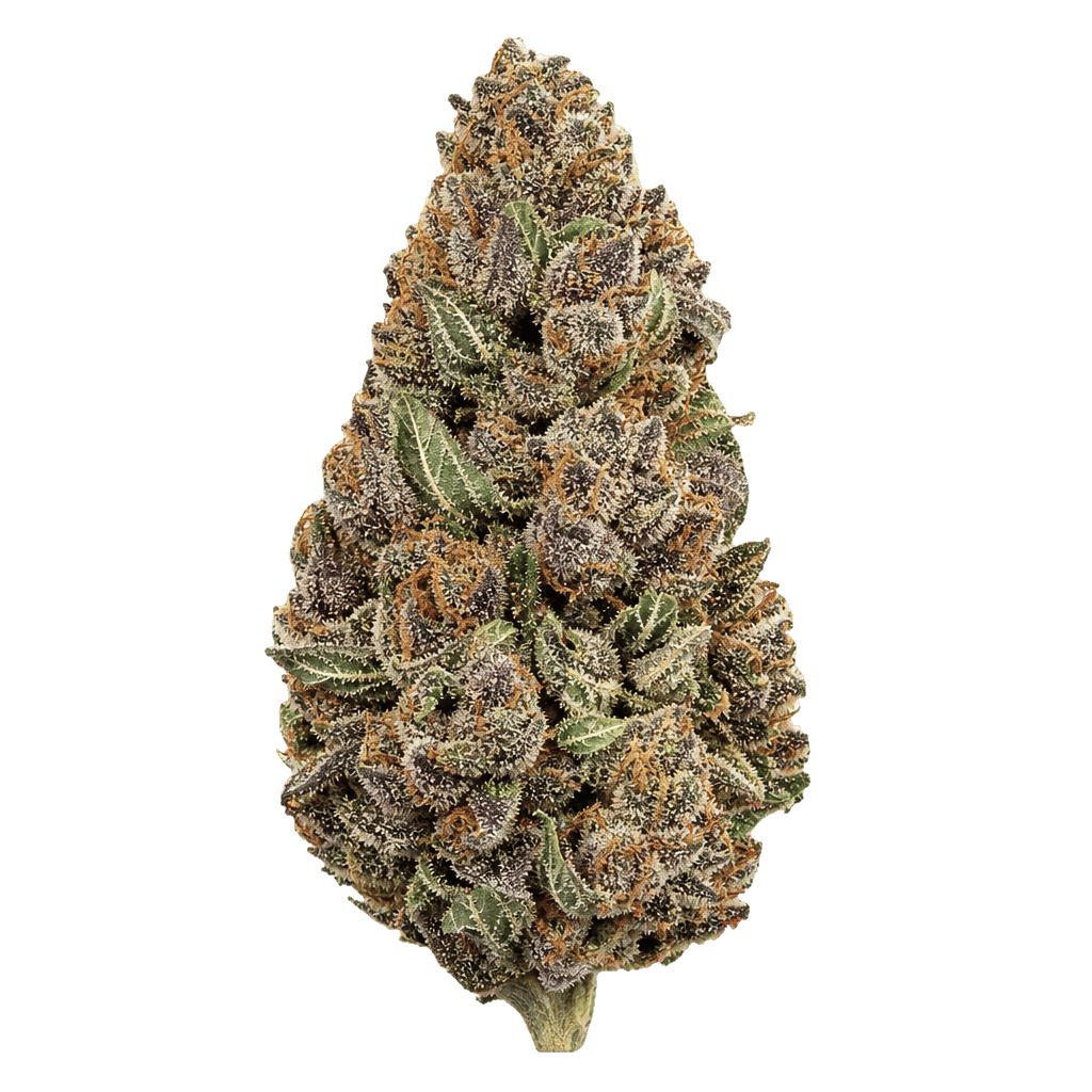 PHCANN Exotics 26/1 RP Red Pop Online Kaufen