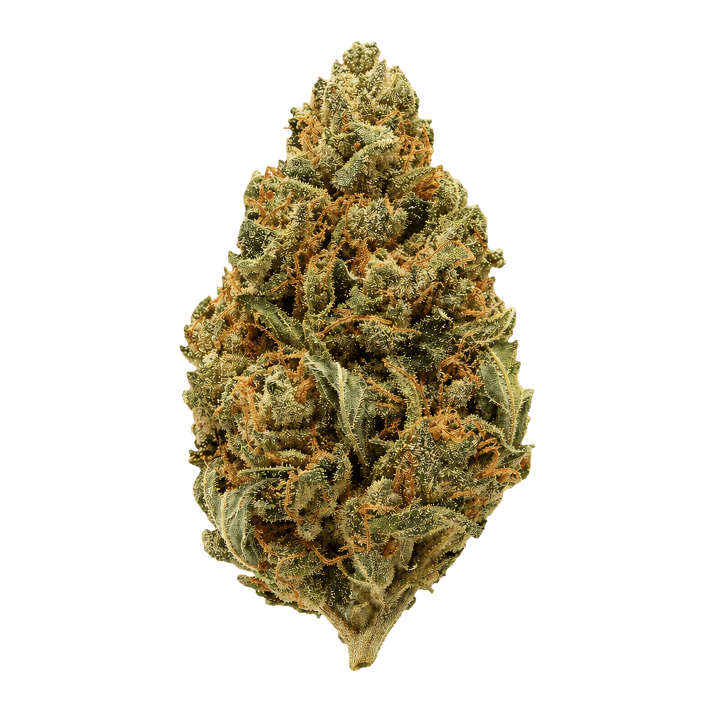 remexian 33/1 MTL JUC Jungle Cake Online Kaufen