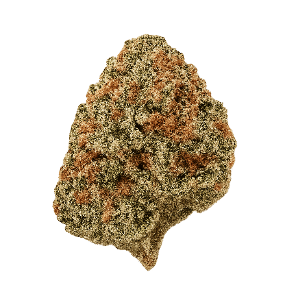 Tilray THC10:CBD10 Warlock No.2 Online Kaufen