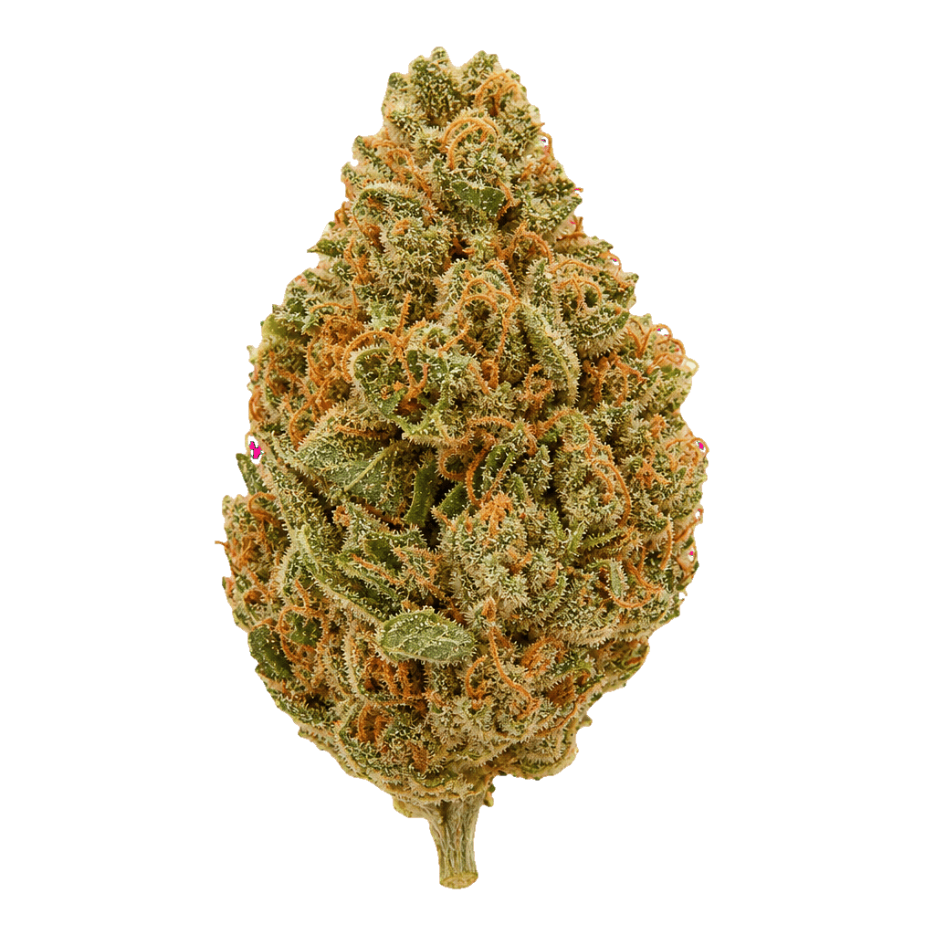 THC AKUT OHS 30 GC Gelato Cake Online Kaufen