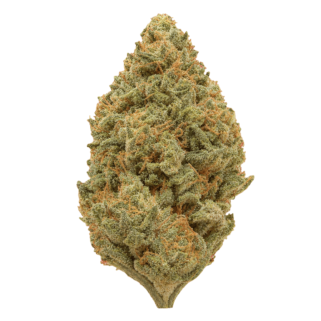 Vayamed Balanced 12/8 Cannatonic Online Kaufen