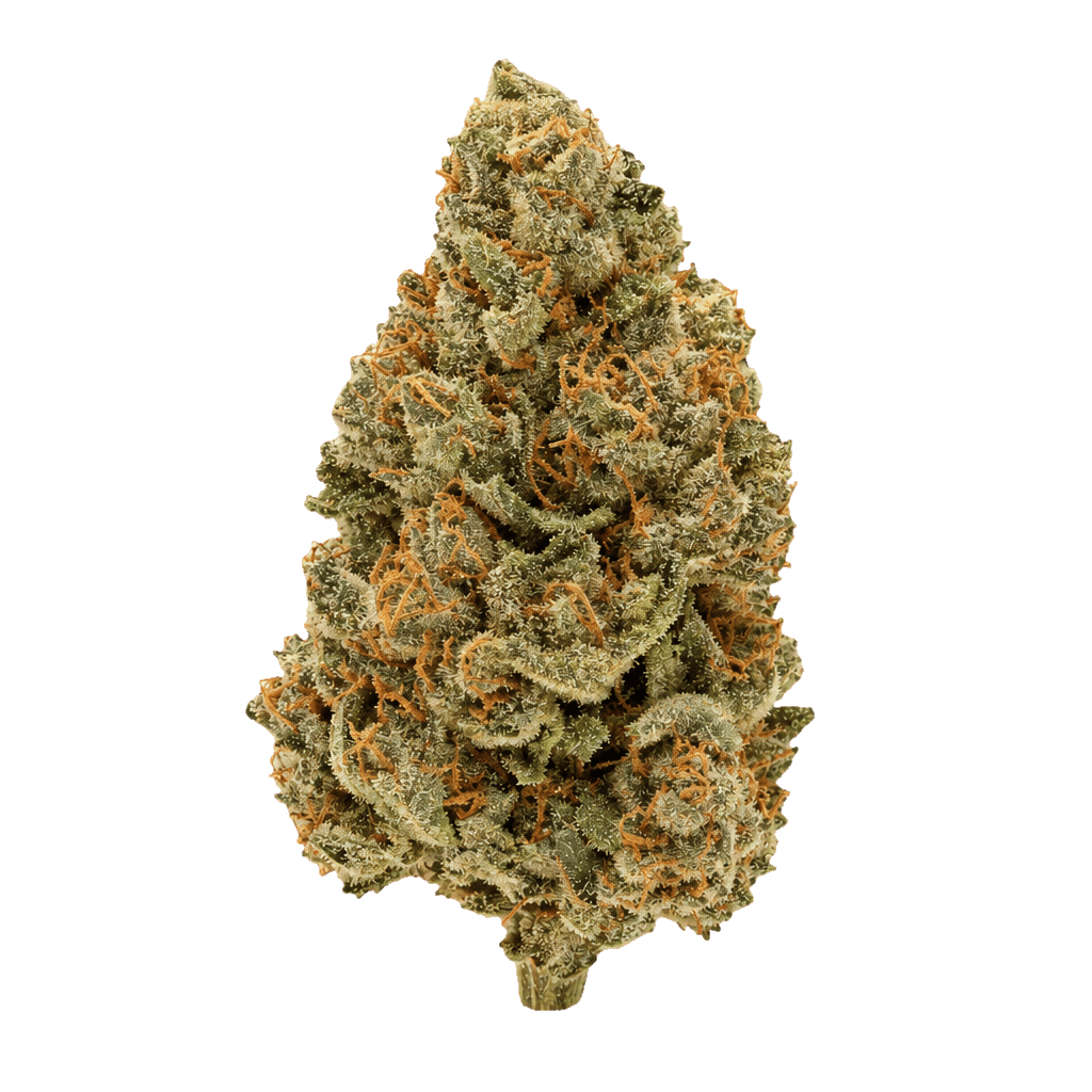 Wellford Aquaponic 29/1 COP Critical Orange Punch Online Kaufen