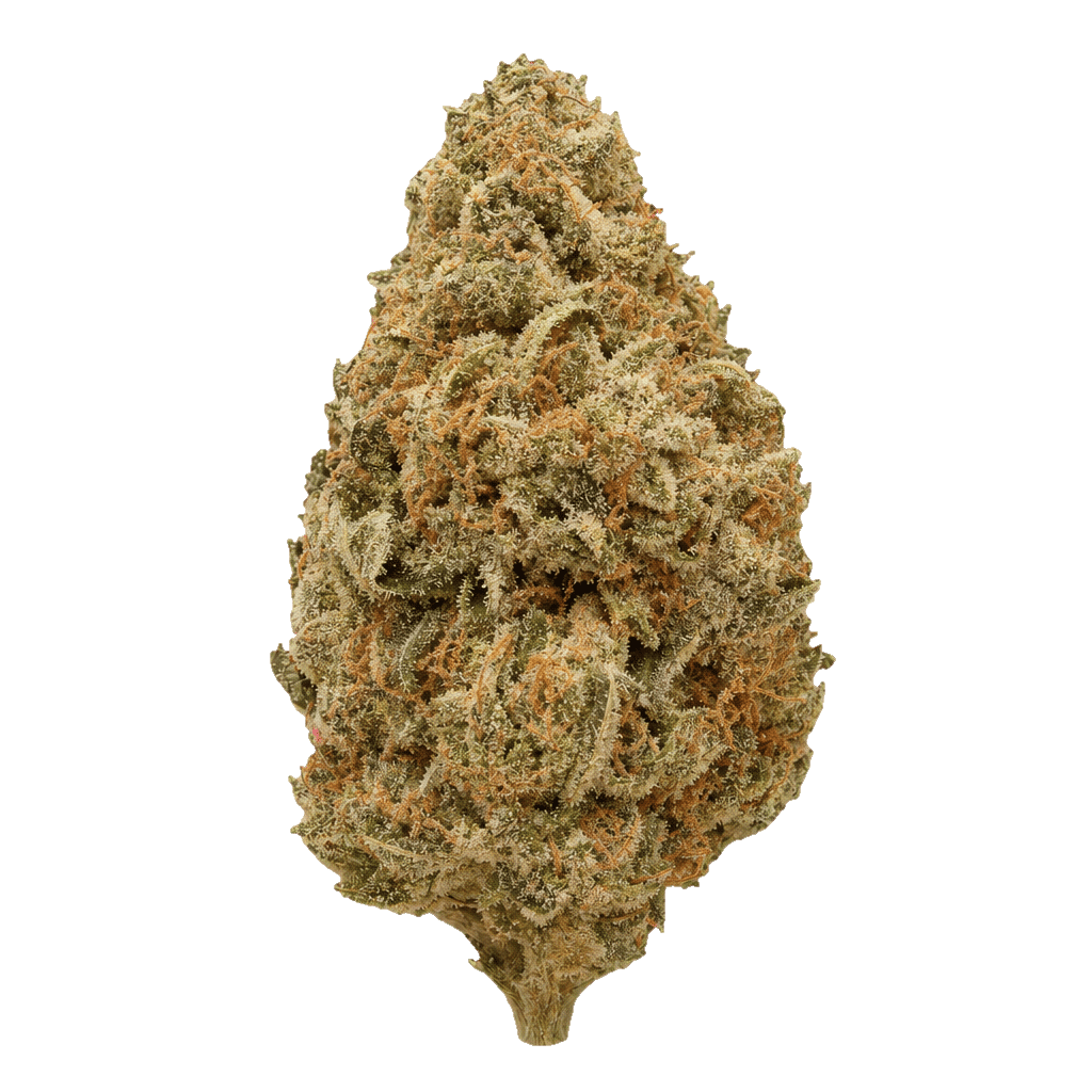 Wellford Luma 24/1 ZA SOC Sour OG Cheese Online Kaufen