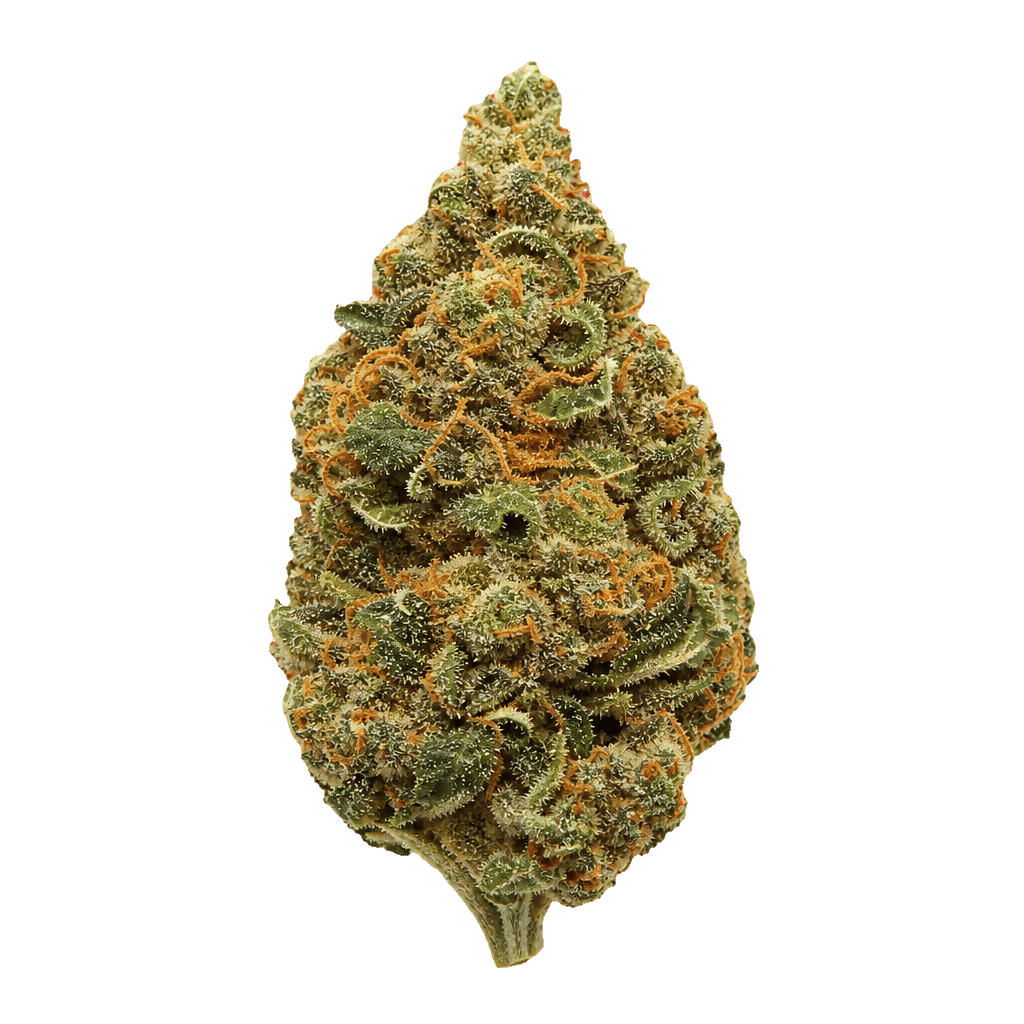 ZOIKS 33/1 LKV2 Lime Kush 2.0 Online Kaufen