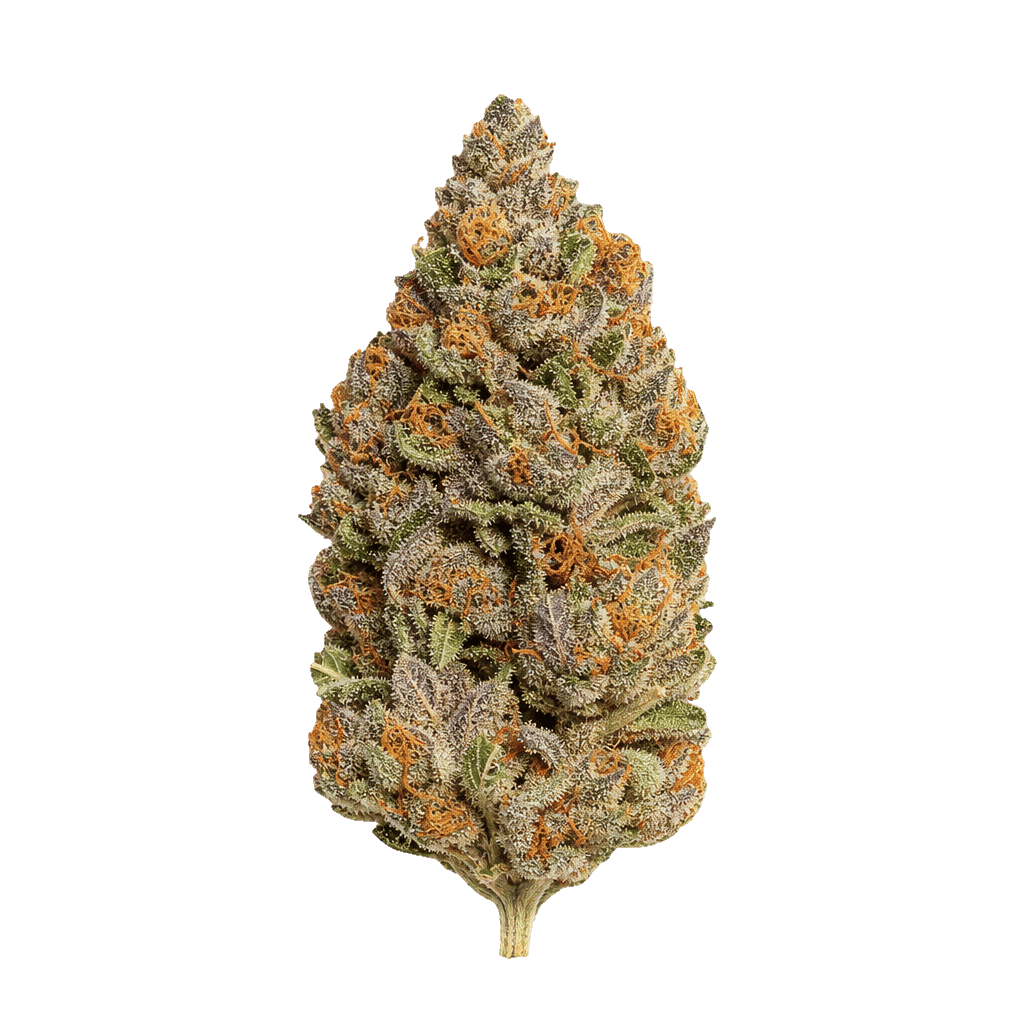 Ekolicious 27/1 GPG Grape Goat Online Kaufen
