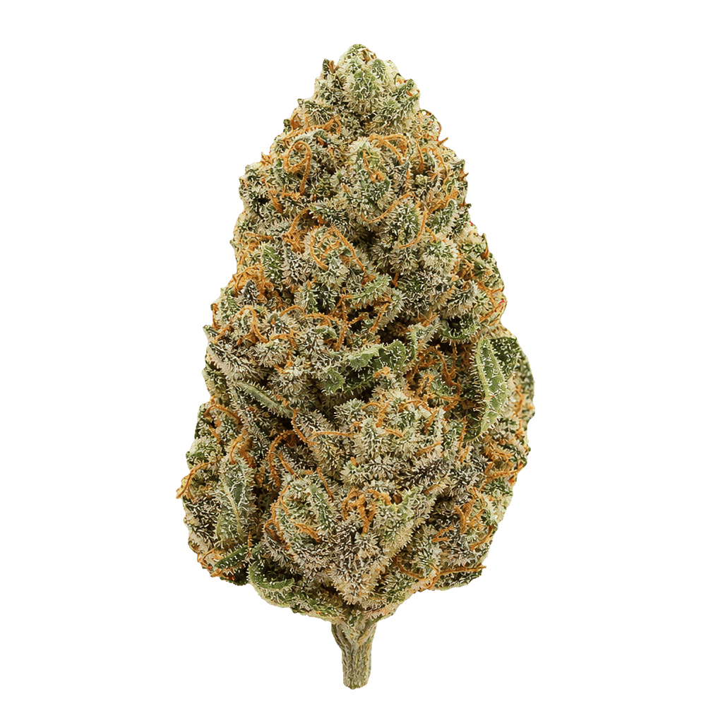 enua 30/1 GKM CA Gelatti Kush Mints Online Kaufen