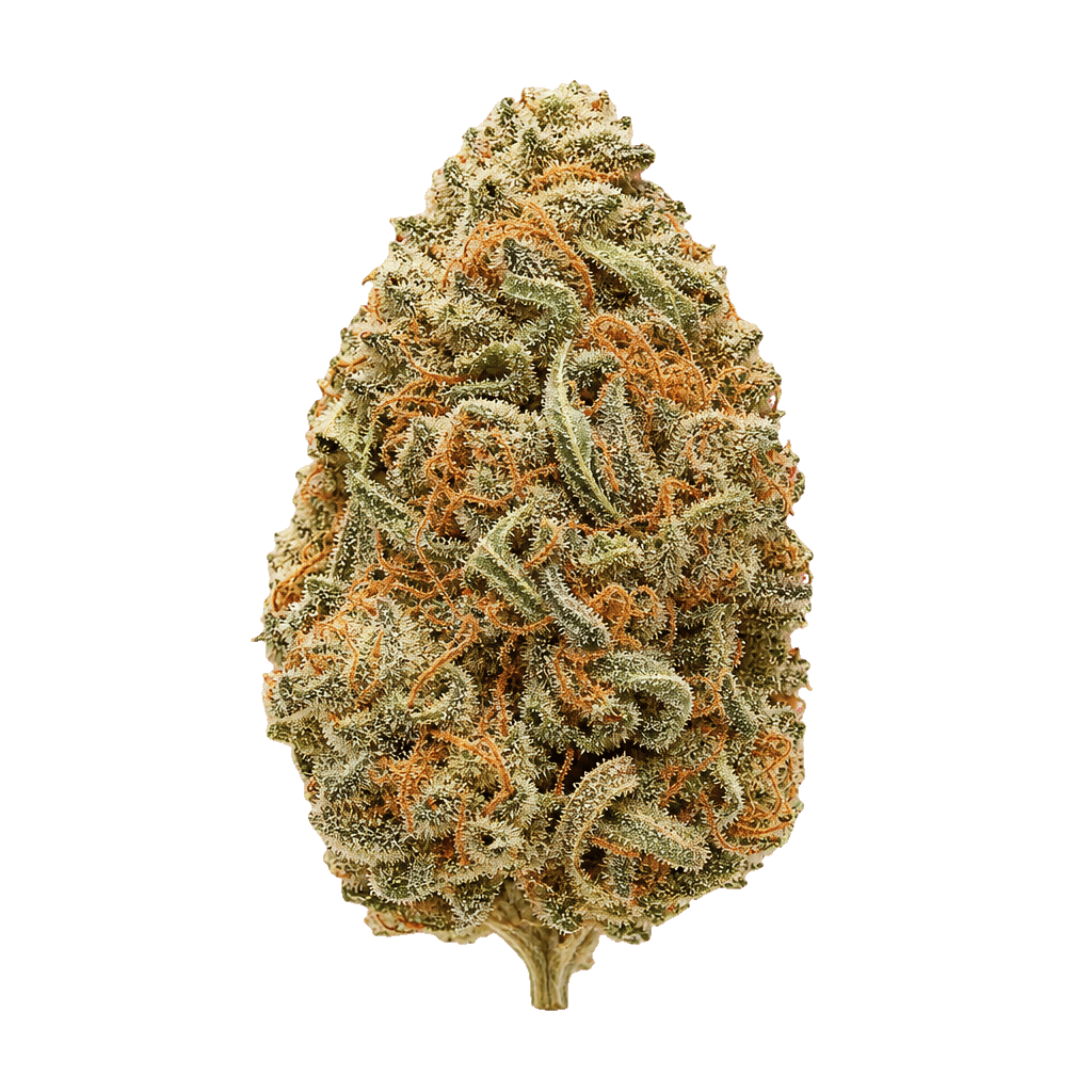 J.R. Strain MM 31/1 Mandarin MAC Online Kaufen