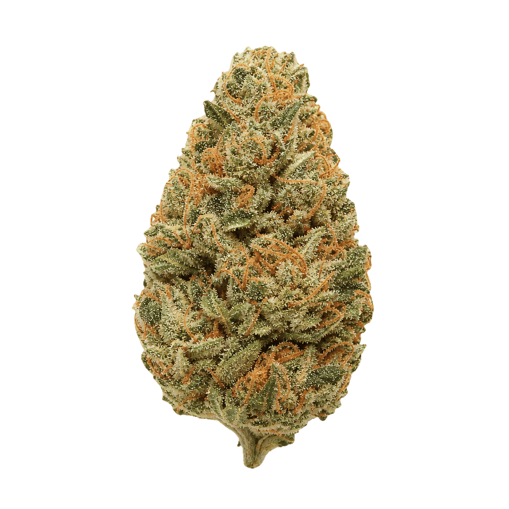 Bathera 33/1 LCG Lemon Cherry Gelato Online Kaufen