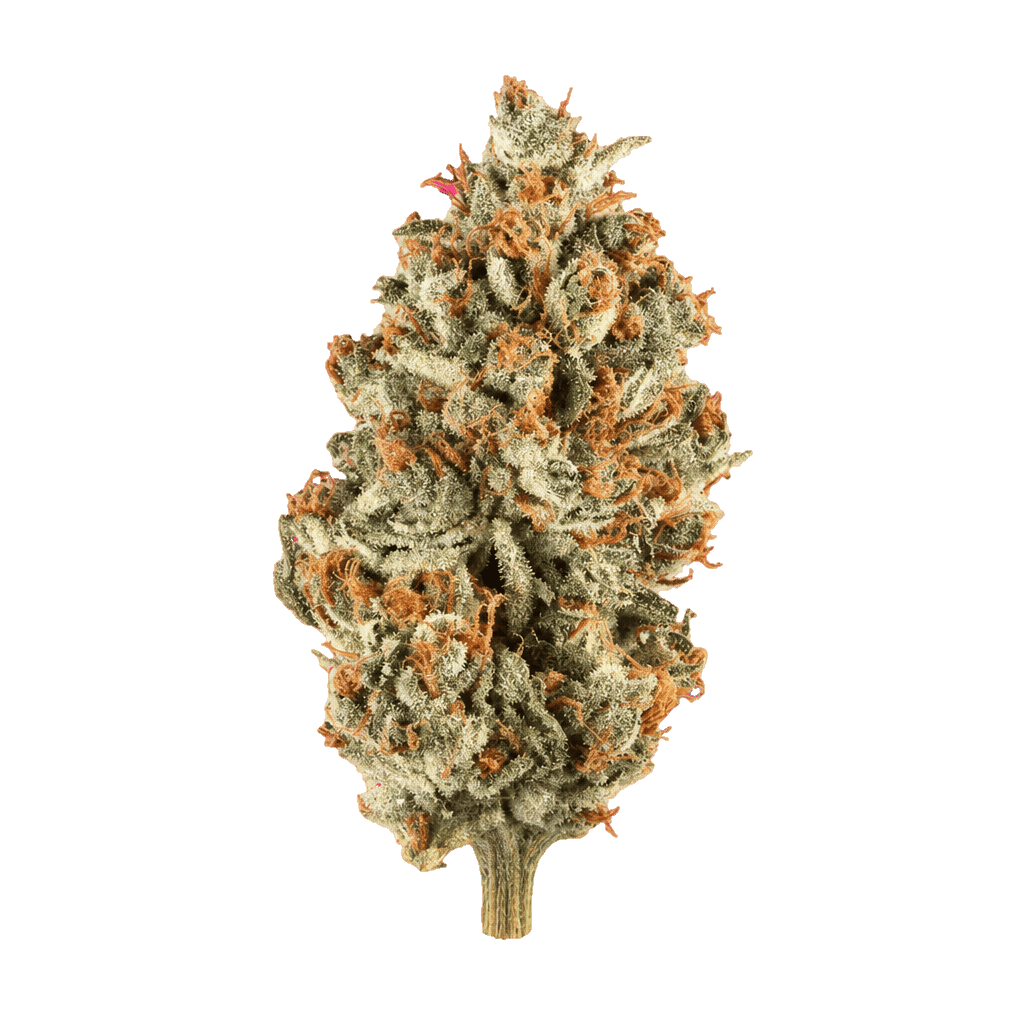 enua 30/1 TPM CA Tropical Meltdown Online Kaufen