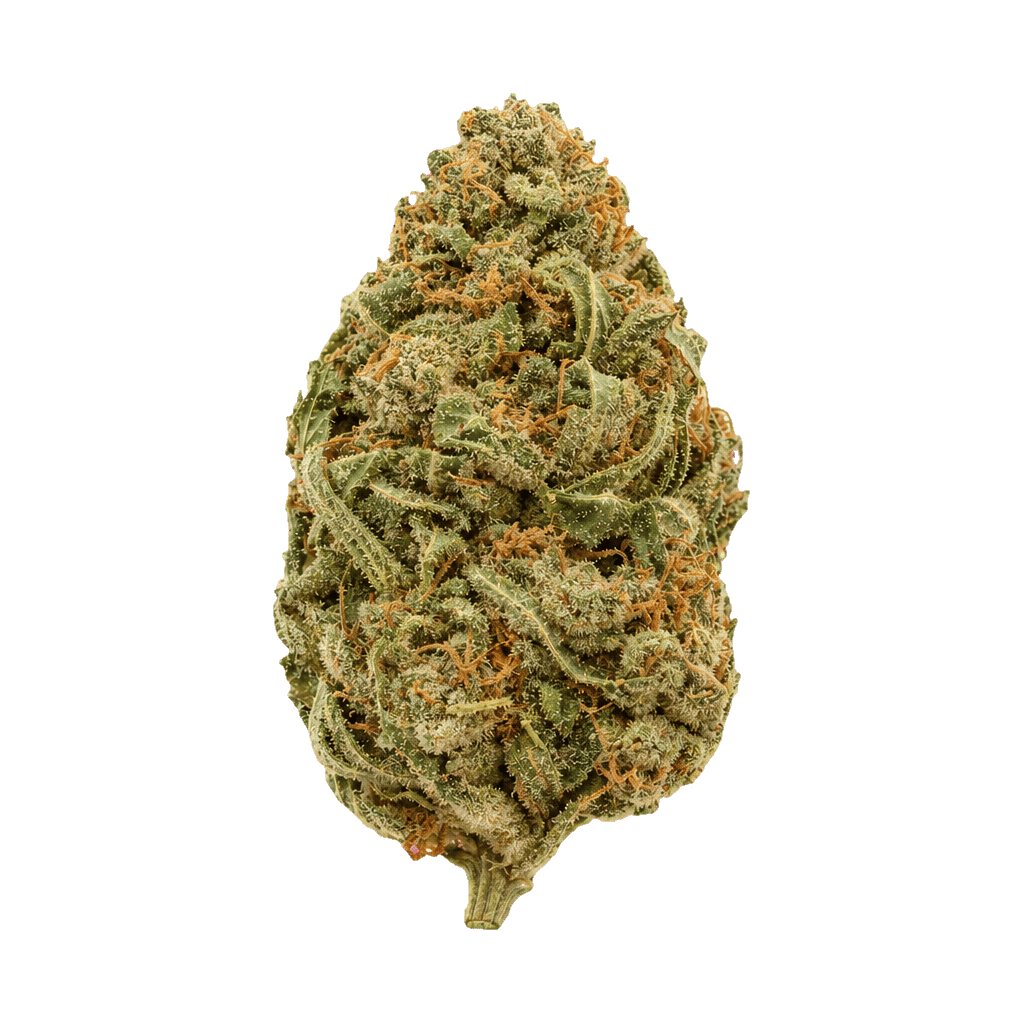 Beacon PK T24 Pink Kush Online Kaufen