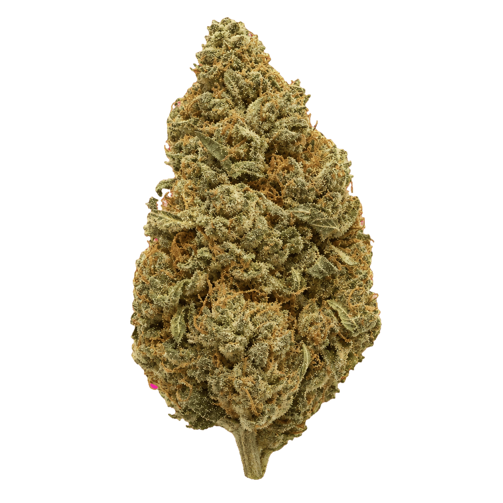madrecan 21/1 GDY Granddaddy OG Online Kaufen