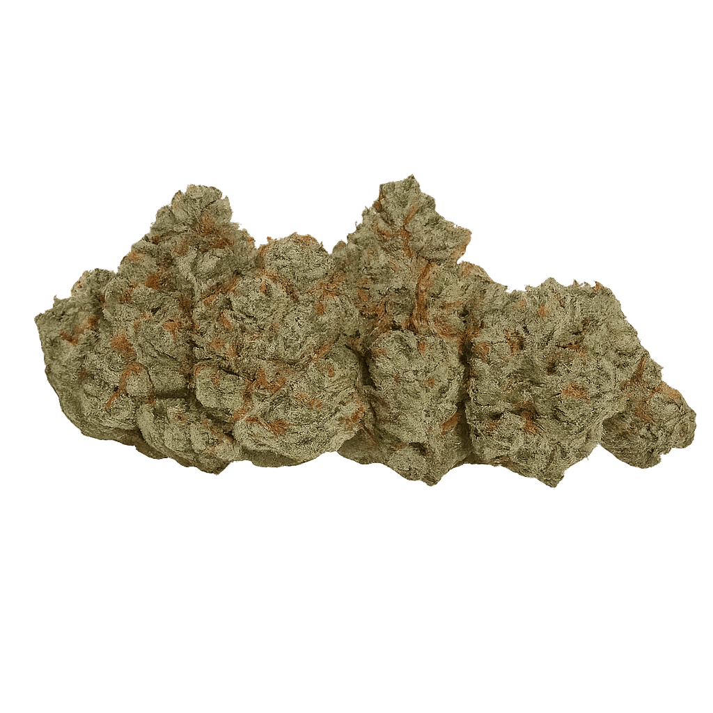 avaay Signature 29/1 OGC Ocean Grown Cookies Online Kaufen