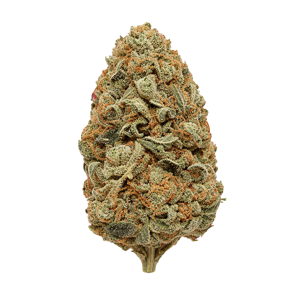 22/1 NICE BZO Blue Zoda Online Kaufen