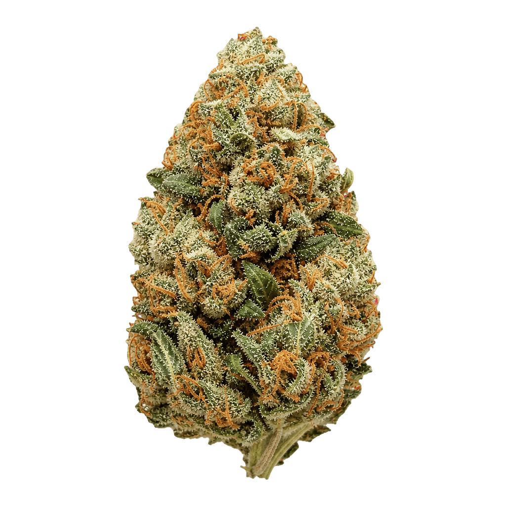 Luana 20/1 OG Watermelon OG Online Kaufen