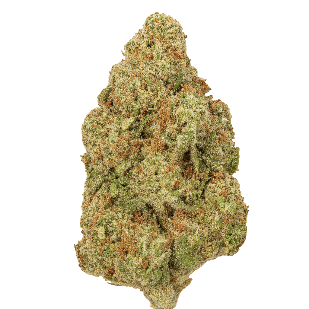 Sumo PAB 25/1 Papaya Bomb Online Kaufen