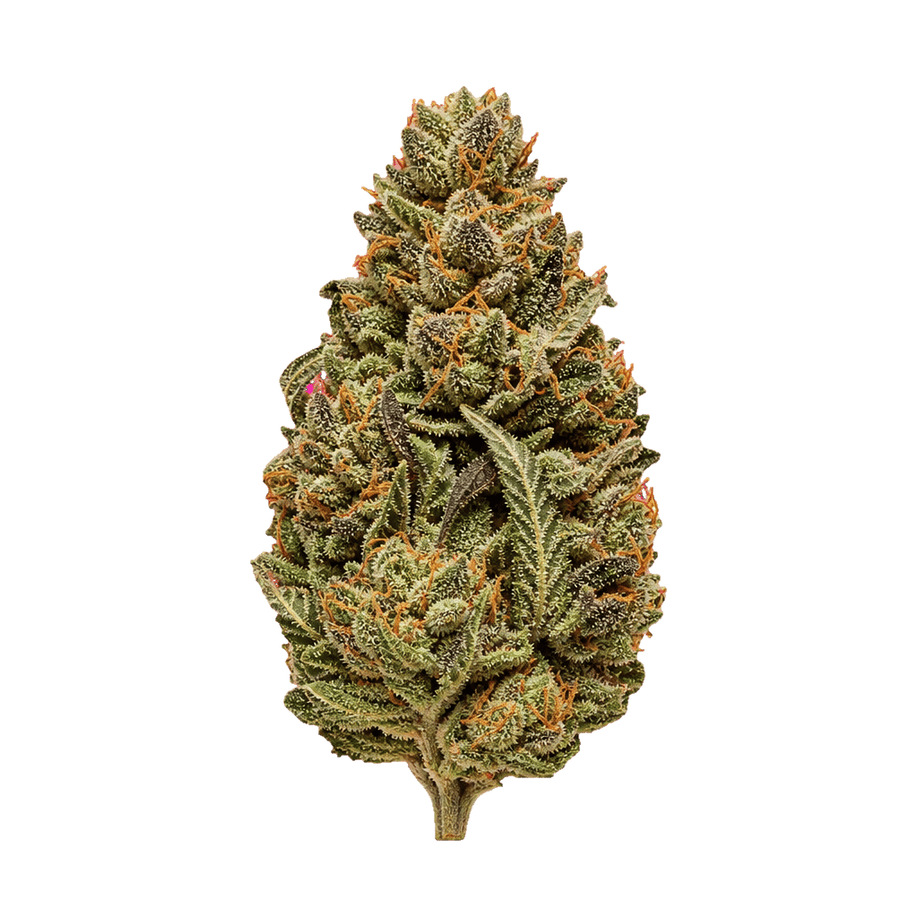APEX GEP PT 30/1 Gelato Poison Online Kaufen