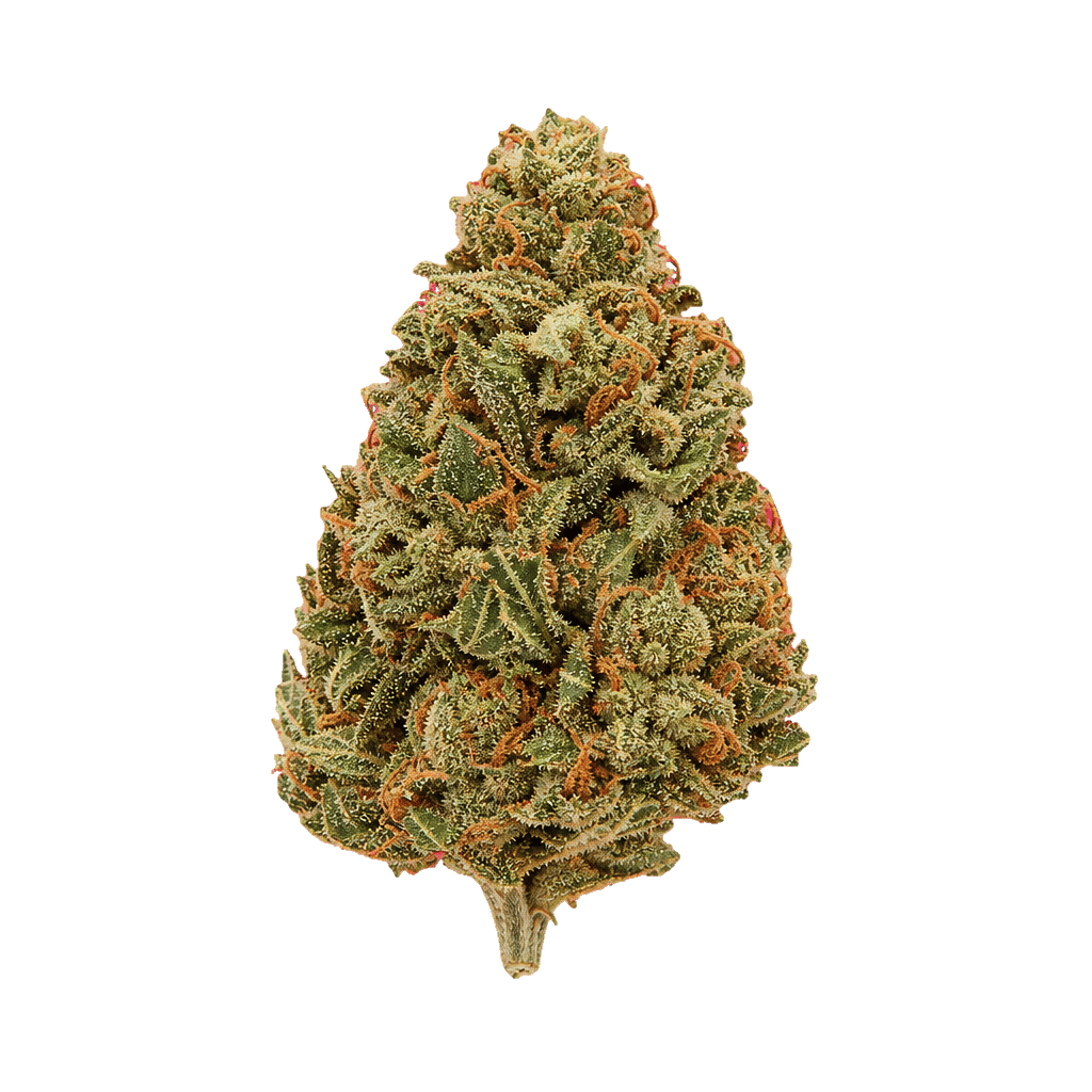 APEX SBP CA 28/1 Strawberry Passion Online Kaufen