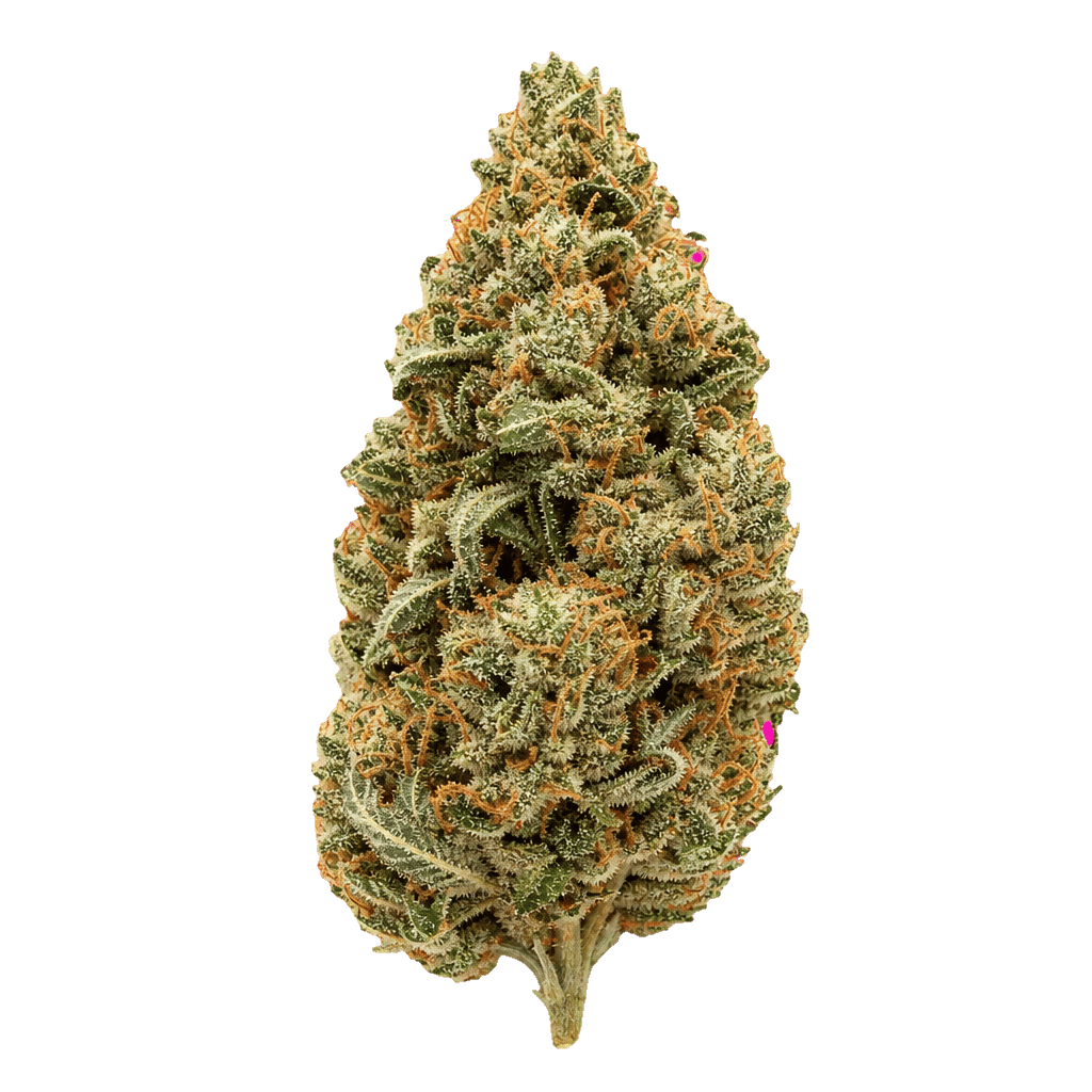 LIT 33/1 MKU Master Kush Online Kaufen