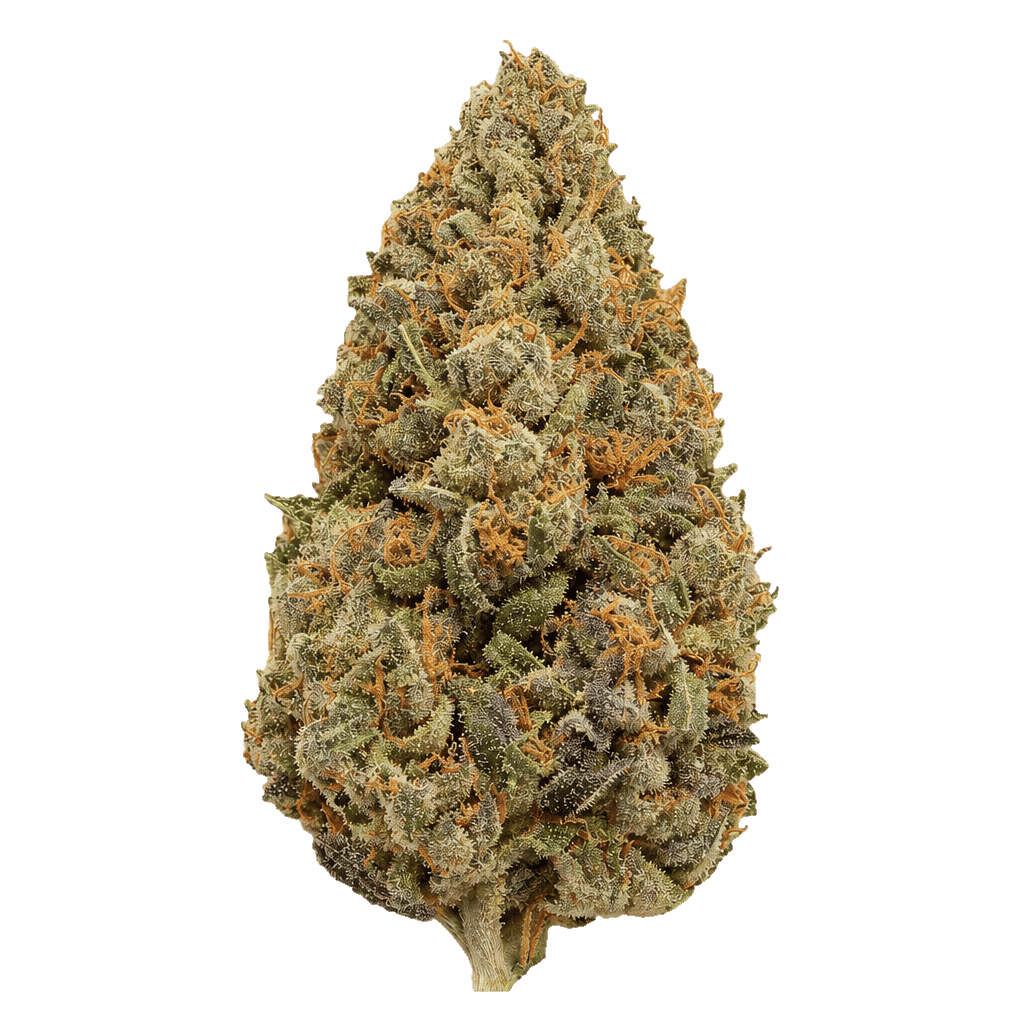 TRUU GT 27:01 Crumbled Lime Online Kaufen