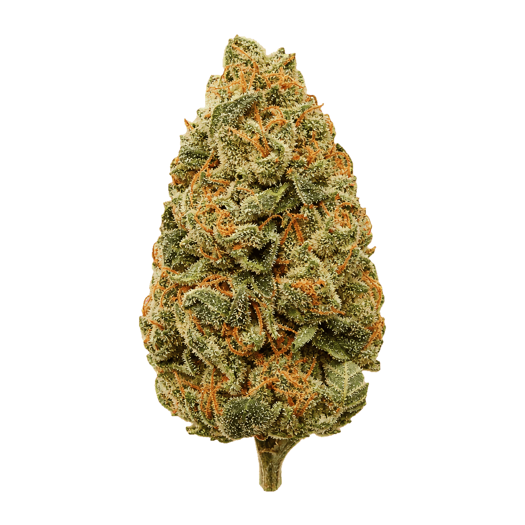 TRUU GT 22:01 Tangerine Dream Online Kaufen