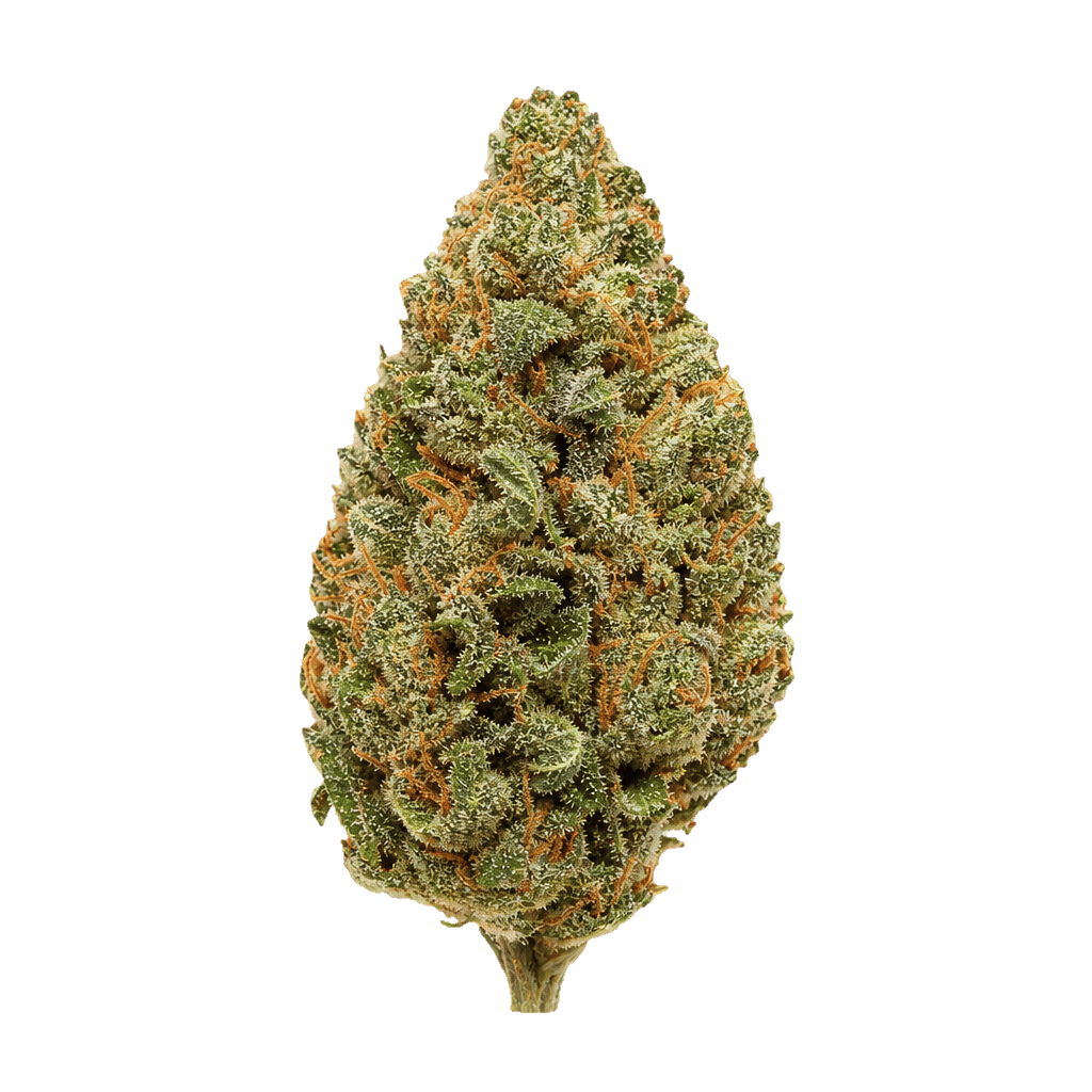 Beacon SCP T30 Sweet Cherry Pie Online Kaufen