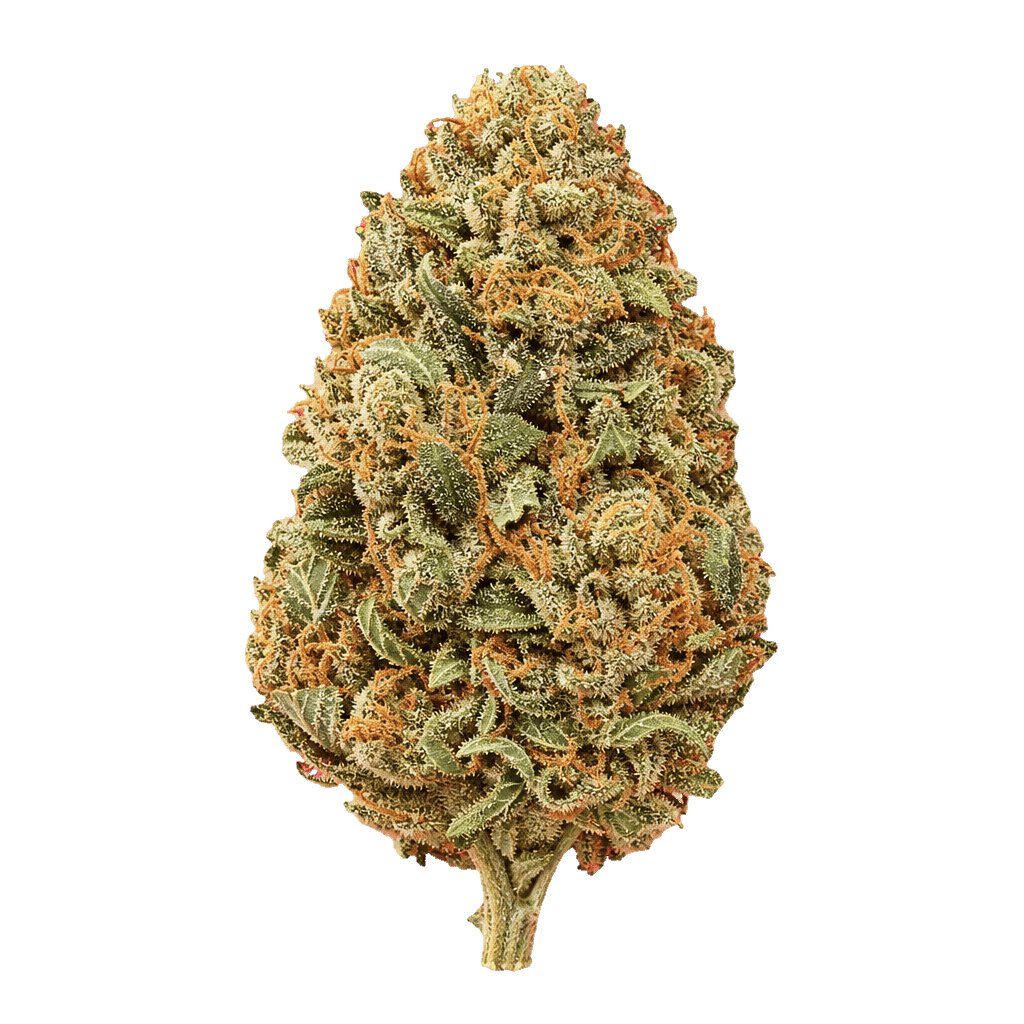 Demecan CV Regular Drop BD Banana Daddy Online Kaufen