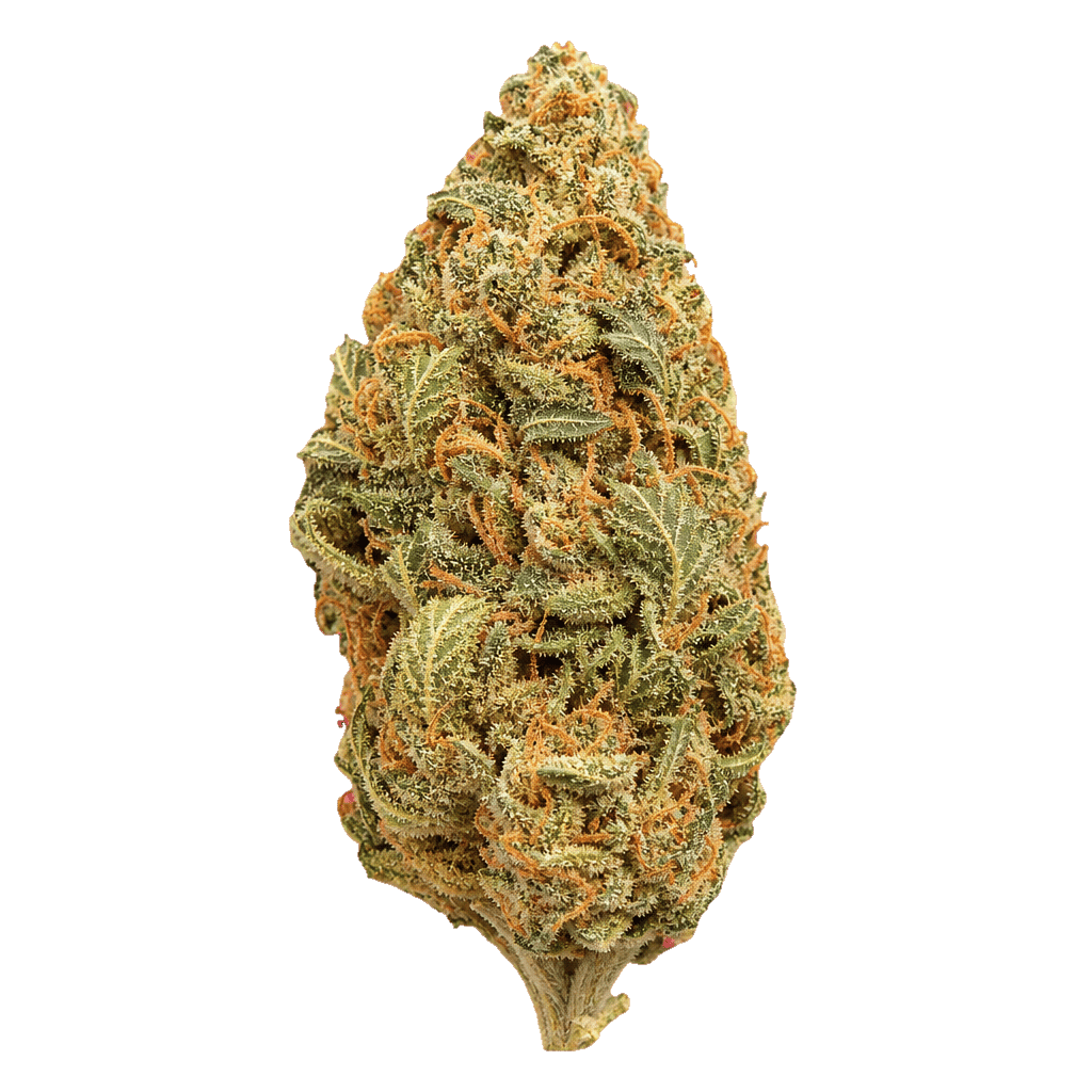 Weeco Vasco 18/1 Skunk Widow Online Kaufen