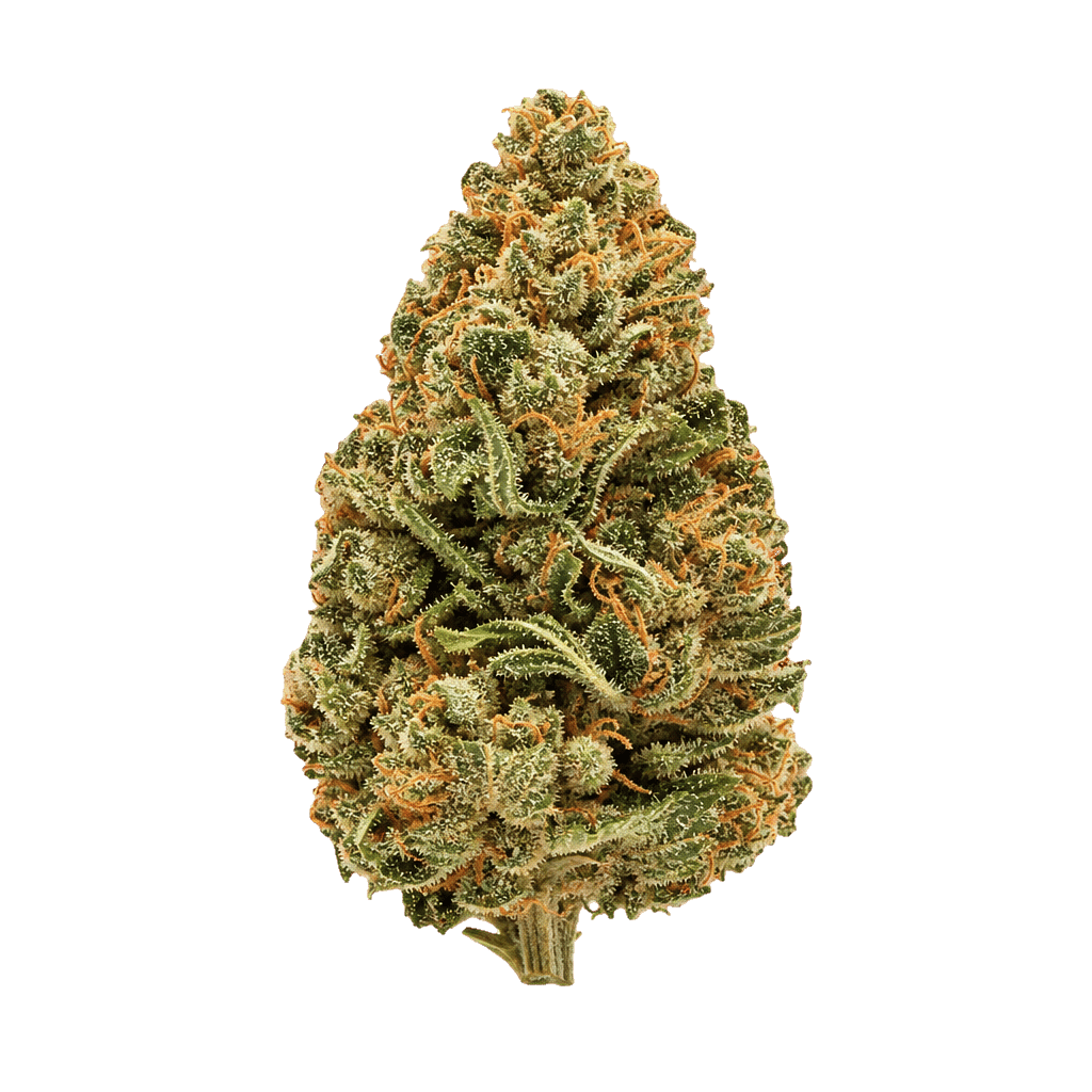 Bathera 28/1 GZ Gelonade Z Online Kaufen
