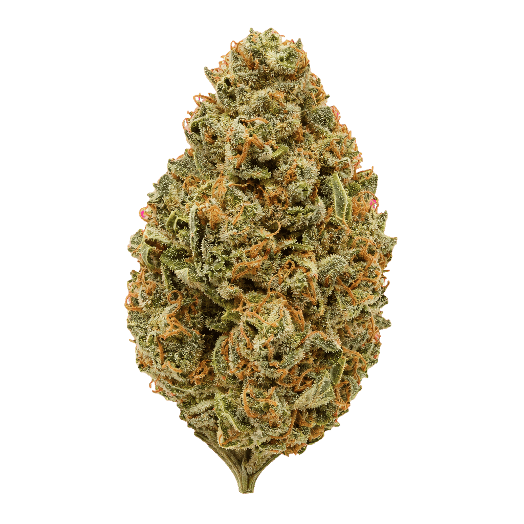 Cannamedical CM 20/1 OG Kush Online Kaufen