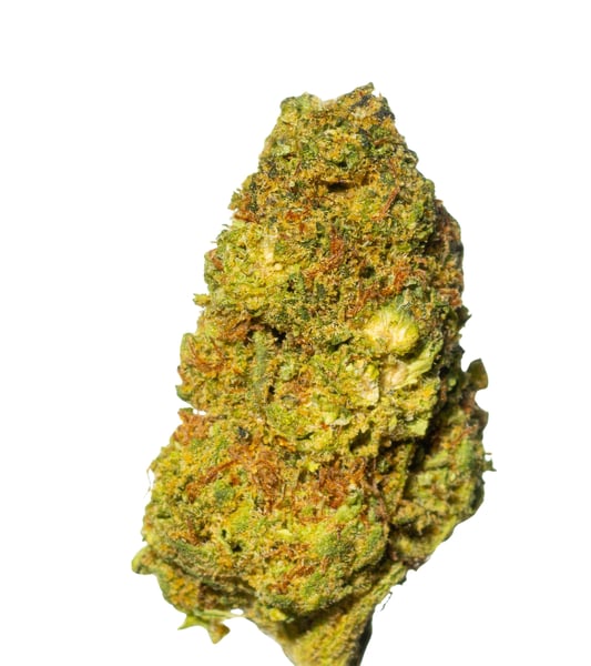 THC AKUT BF 25 PSC ZATLA