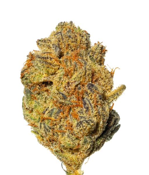 Sibanax GMO Zkittlez 20/1