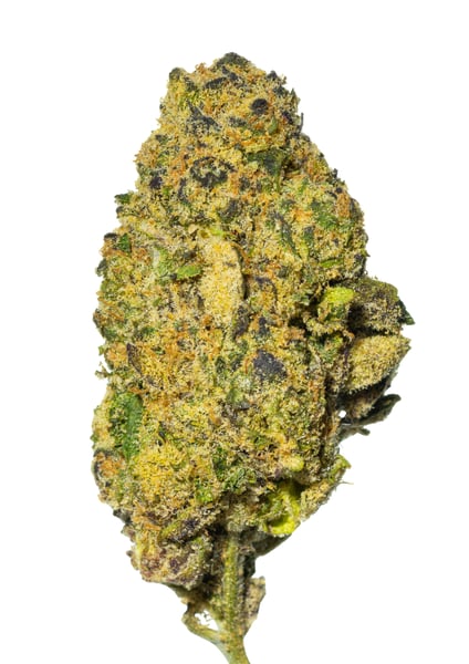 Cannamedical Sativa forte NM Wedding Tree