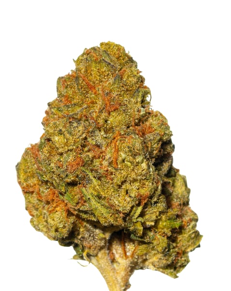 Huala 25/1 UK CIN Cinderella Kush