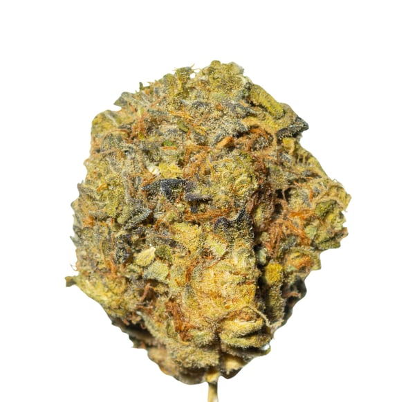 Cannamedical Sativa classic VenomZ Eve