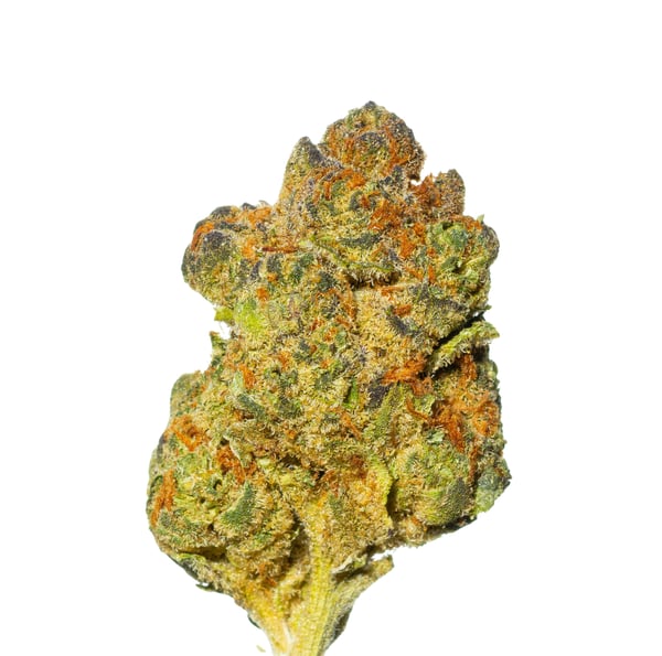 Cannamedical Indica Classic 20/1 ZAF Dank Wafers