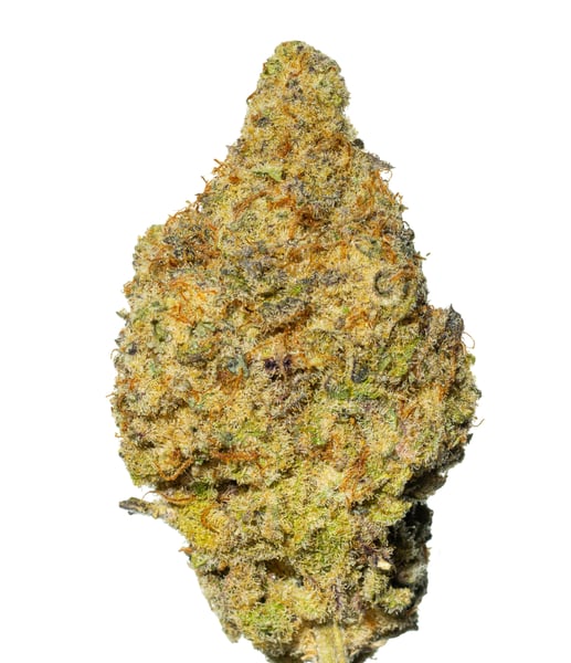 Cannamedical Hybrid Classic BC Mac 3