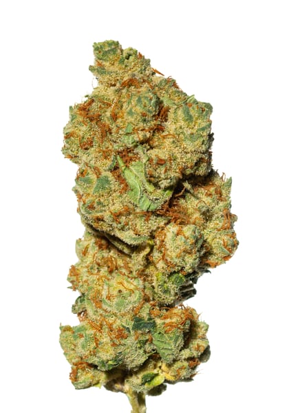 Cannamedical Indica classic DK 