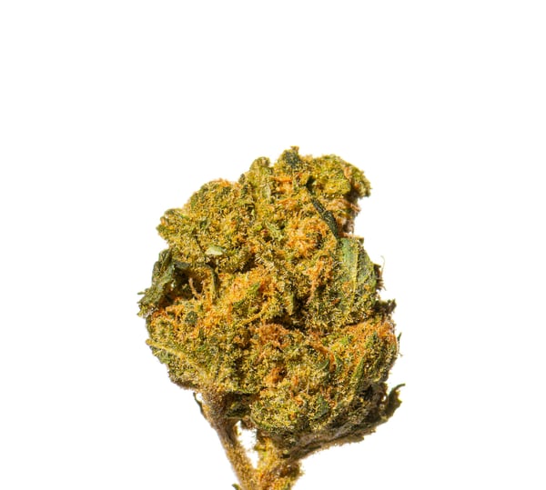 Good Supply Cannabisblüten THC22 SNL