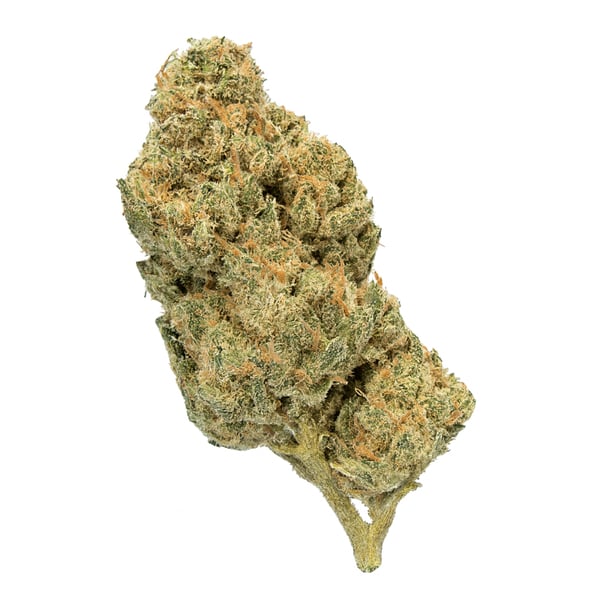 Enua 25/1 E85 G13 Ultra