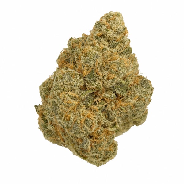 Cannamedical Indica Forte BC Tangerine Boost