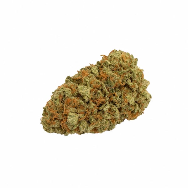 Luana 32/1 Pine Solpina Magic