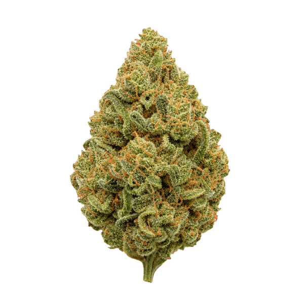 29/1 Amici SLE Sour Lemon OG Online Kaufen