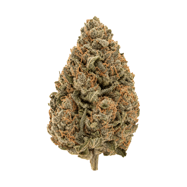 420 Evolution 27/1 CA PCH Peach Chementine Online Kaufen
